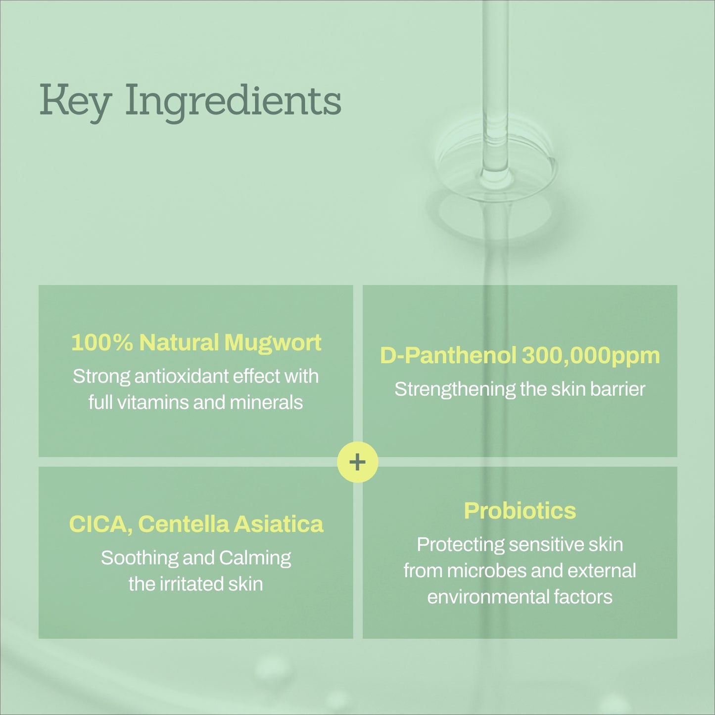 Mugwort Super Calming Toner + Serum