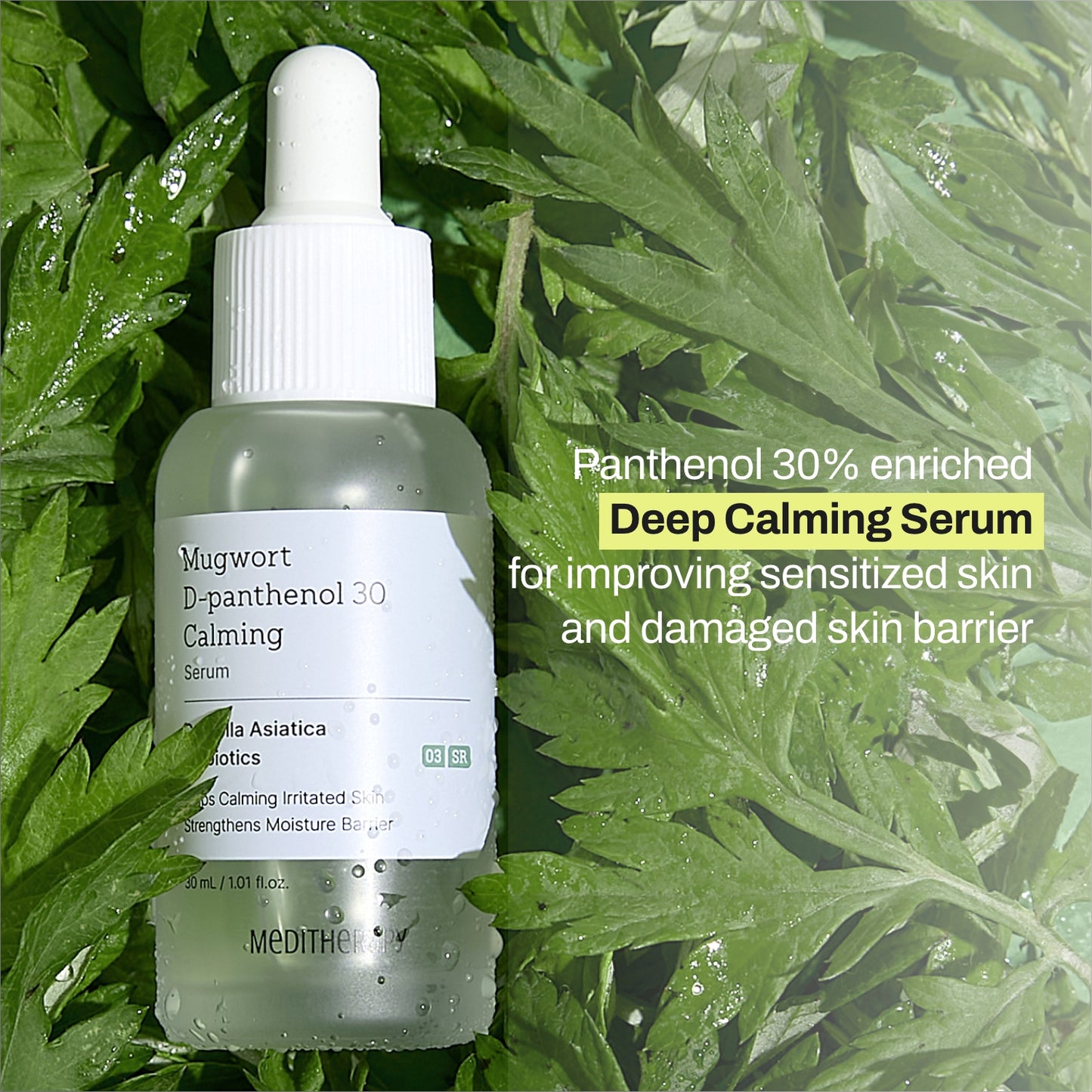 Mugwort Super Calming Toner + Serum