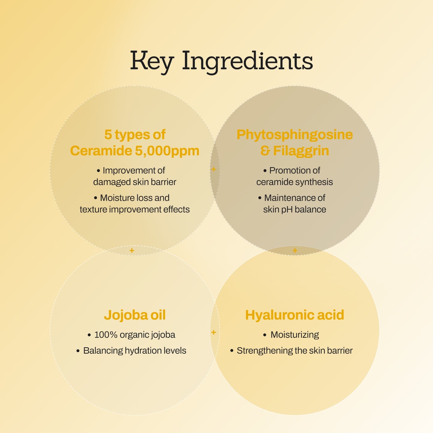 Jojoba Ceramide Barrier Cream