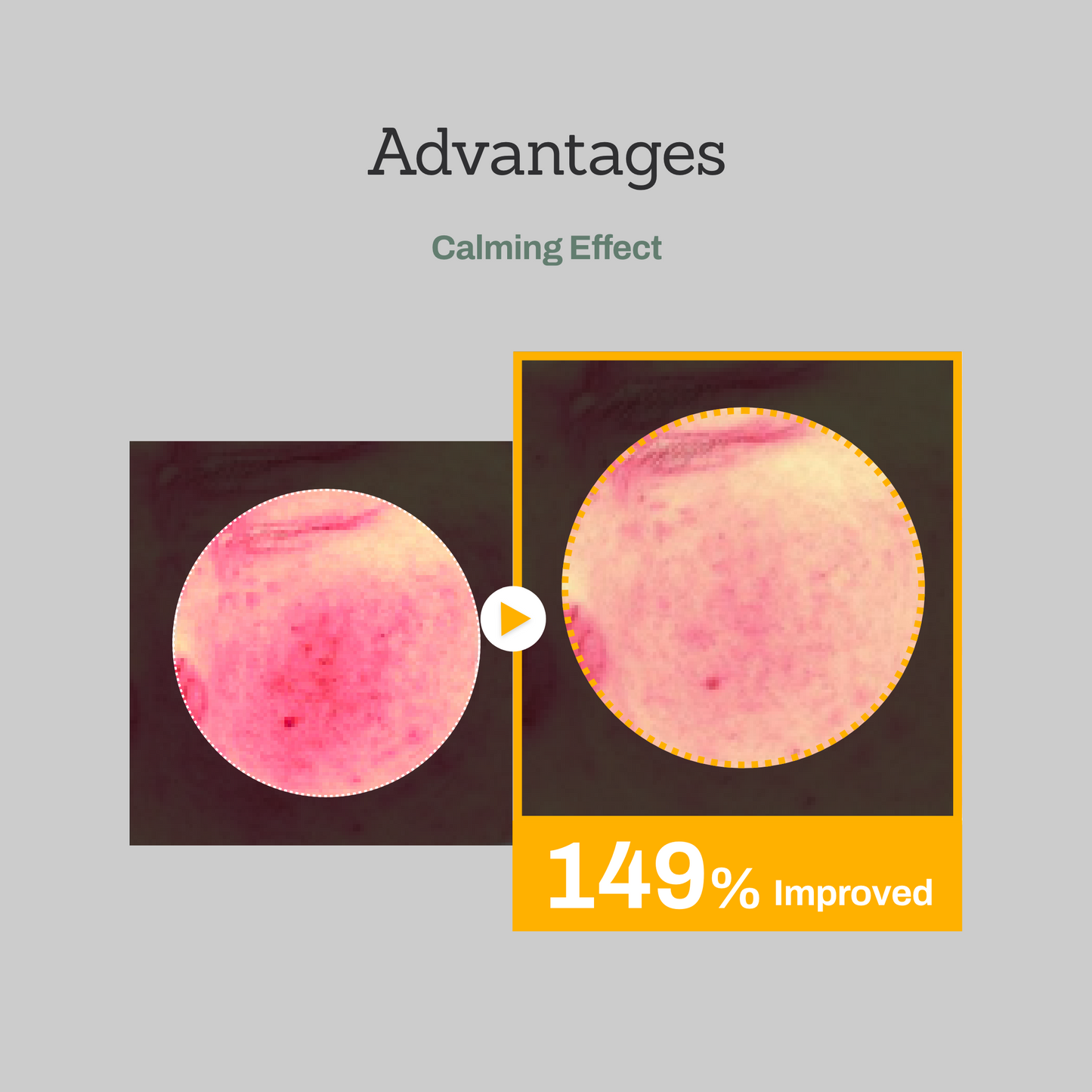 Mugwort Super Calming Toner + Serum