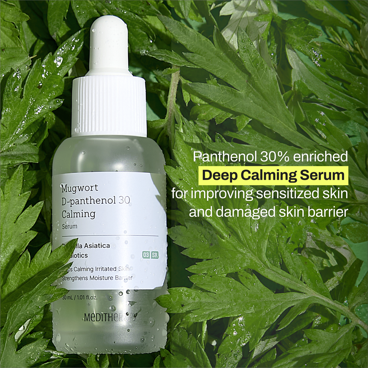 Mugwort D-panthenol 30 Calming Serum