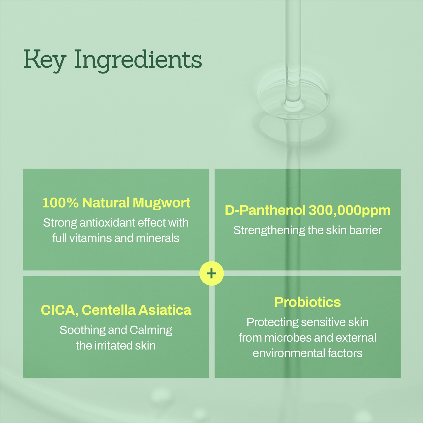 Mugwort D-panthenol 30 Calming Serum